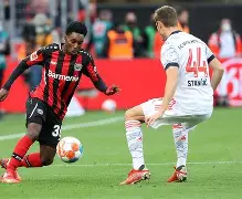 勒沃库森状态回暖今夜里昂备战亚冠之后，切尔西训练开放日